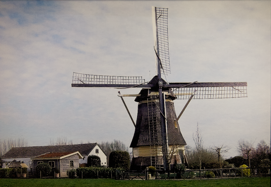 De Veenmolen in Wilnis op canvas